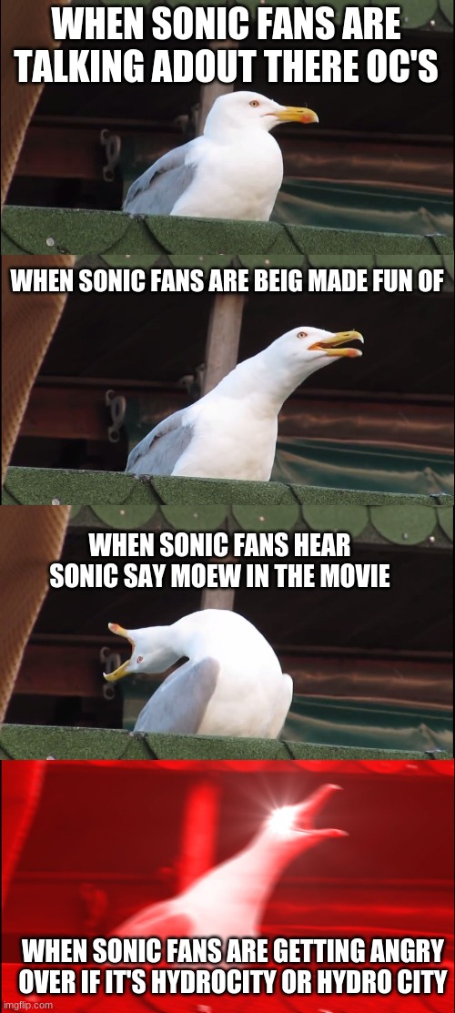 sonic fans are dumb | WHEN SONIC FANS ARE TALKING ADOUT THERE OC'S; WHEN SONIC FANS ARE BEIG MADE FUN OF; WHEN SONIC FANS HEAR SONIC SAY MOEW IN THE MOVIE; WHEN SONIC FANS ARE GETTING ANGRY OVER IF IT'S HYDROCITY OR HYDRO CITY | image tagged in memes,inhaling seagull,sonic the hedgehog,sonic,sonic movie,sonic derp | made w/ Imgflip meme maker