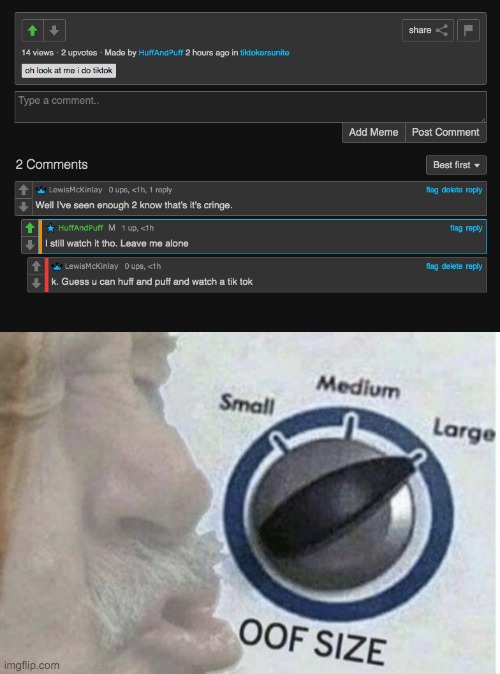 image tagged in oof size large | made w/ Imgflip meme maker
