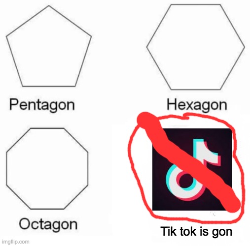 Pentagon Hexagon Octagon Meme | Tik tok is gon | image tagged in memes,pentagon hexagon octagon | made w/ Imgflip meme maker
