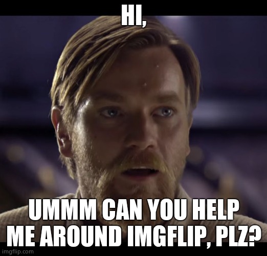 Hello there | HI, UMMM CAN YOU HELP ME AROUND IMGFLIP, PLZ? | image tagged in hello there | made w/ Imgflip meme maker