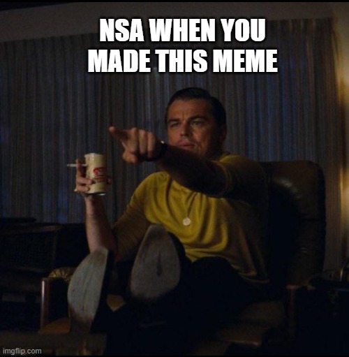 Leonardo DiCaprio Pointing | NSA WHEN YOU MADE THIS MEME | image tagged in leonardo dicaprio pointing | made w/ Imgflip meme maker
