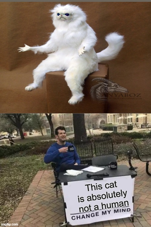 No way this is a cat | This cat is absolutely not a human | image tagged in memes,change my mind | made w/ Imgflip meme maker