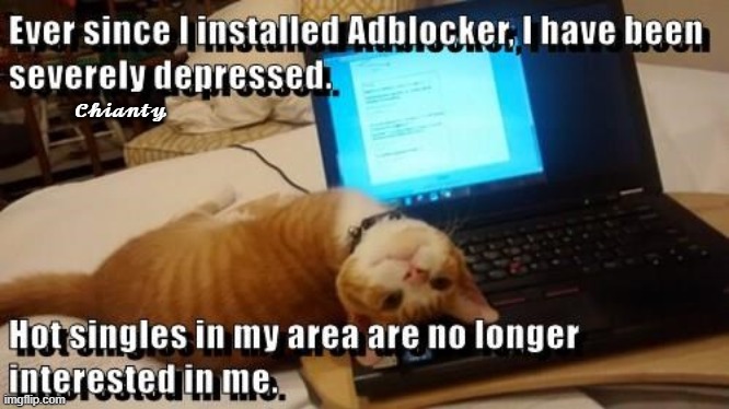 Ad blocker | 𝓒𝓱𝓲𝓪𝓷𝓽𝔂 | image tagged in depressed | made w/ Imgflip meme maker