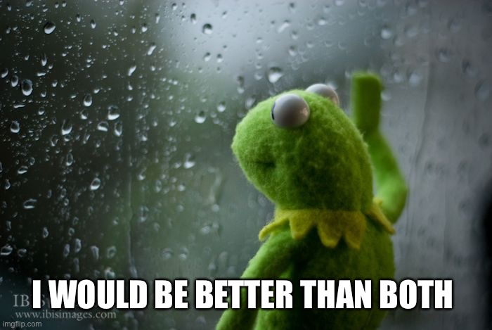 kermit window | I WOULD BE BETTER THAN BOTH | image tagged in kermit window | made w/ Imgflip meme maker