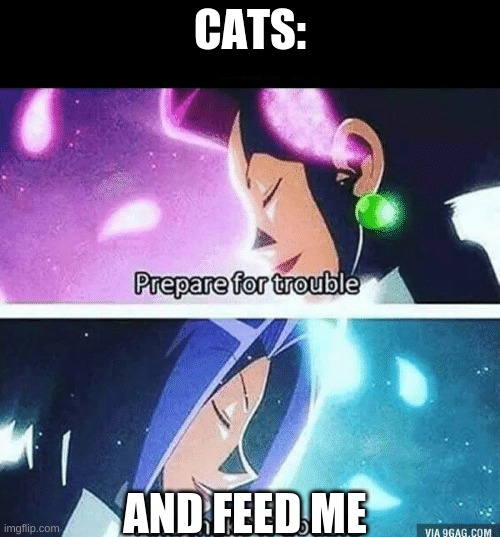 so truuuuuuuuuuuuuuuuue | CATS:; AND FEED ME | image tagged in prepare for trouble and make it double | made w/ Imgflip meme maker