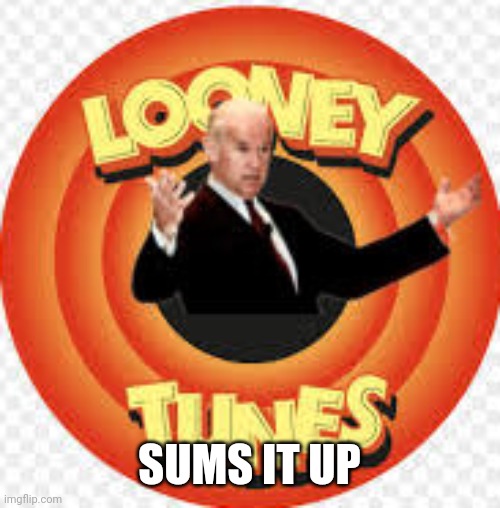 Politics and stuff | SUMS IT UP | image tagged in funny memes | made w/ Imgflip meme maker