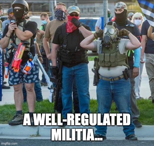 Well-regulated? | A WELL-REGULATED MILITIA... | image tagged in 2nd amendment,guns,militia | made w/ Imgflip meme maker