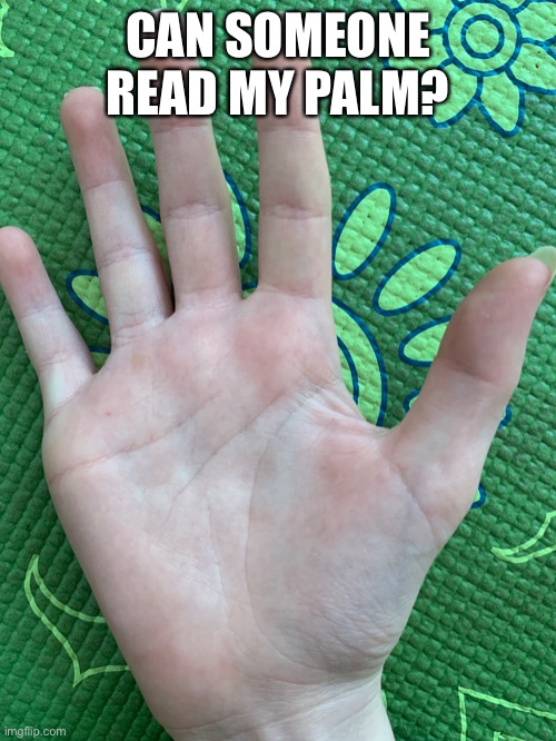 CAN SOMEONE READ MY PALM? | made w/ Imgflip meme maker