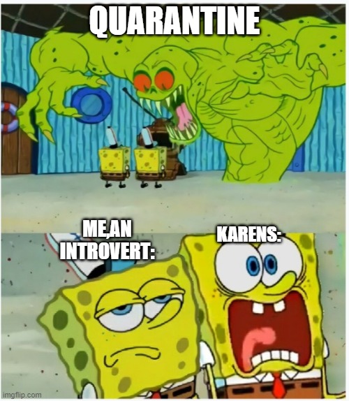 Scared not scared spongebob against ghost | QUARANTINE; ME,AN INTROVERT:; KARENS: | image tagged in scared not scared spongebob against ghost | made w/ Imgflip meme maker