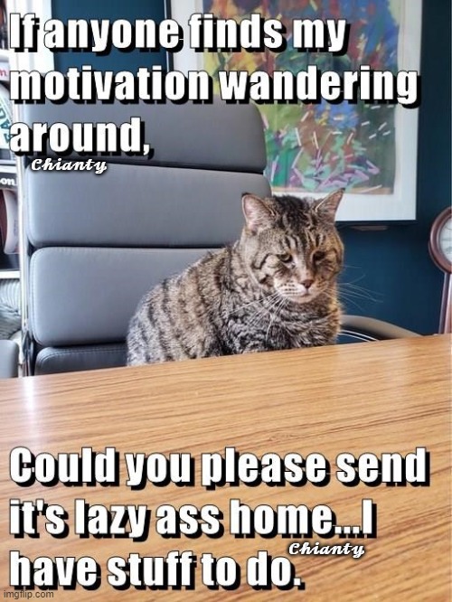 Motivation | 𝓒𝓱𝓲𝓪𝓷𝓽𝔂; 𝓒𝓱𝓲𝓪𝓷𝓽𝔂 | image tagged in lazy | made w/ Imgflip meme maker