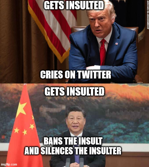 Trump VS Xi | GETS INSULTED; CRIES ON TWITTER; GETS INSULTED; BANS THE INSULT AND SILENCES THE INSULTER | image tagged in usa,china,donald trump,xi jinping | made w/ Imgflip meme maker