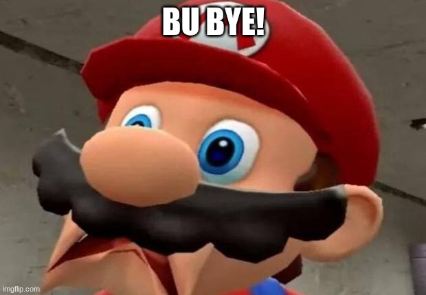 Mario WTF | BU BYE! | image tagged in mario wtf | made w/ Imgflip meme maker