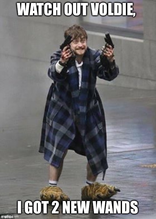Don’t need wands if I got Deeze | WATCH OUT VOLDIE, I GOT 2 NEW WANDS | image tagged in daniel radcliffe guns | made w/ Imgflip meme maker