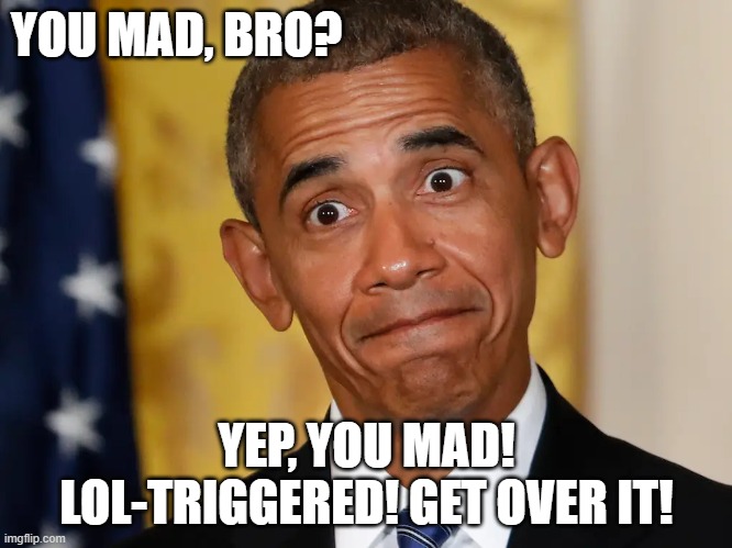 Trumpers Fear him | YOU MAD, BRO? YEP, YOU MAD! LOL-TRIGGERED! GET OVER IT! | image tagged in the man,trump,obama,republicans,democrats | made w/ Imgflip meme maker