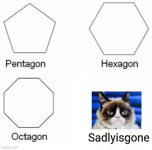 Pentagon Hexagon Octagon | Sadlyisgone | image tagged in memes,pentagon hexagon octagon | made w/ Imgflip meme maker