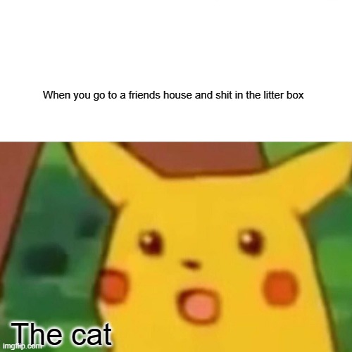 Surprised Pikachu | When you go to a friends house and shit in the litter box; The cat | image tagged in memes,surprised pikachu | made w/ Imgflip meme maker