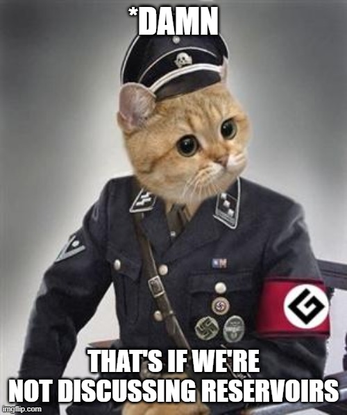 Grammar Nazi Cat | *DAMN; THAT'S IF WE'RE NOT DISCUSSING RESERVOIRS | image tagged in grammar nazi cat,bad grammar and spelling memes,spelling error,grammar nazi,cat memes,cats | made w/ Imgflip meme maker