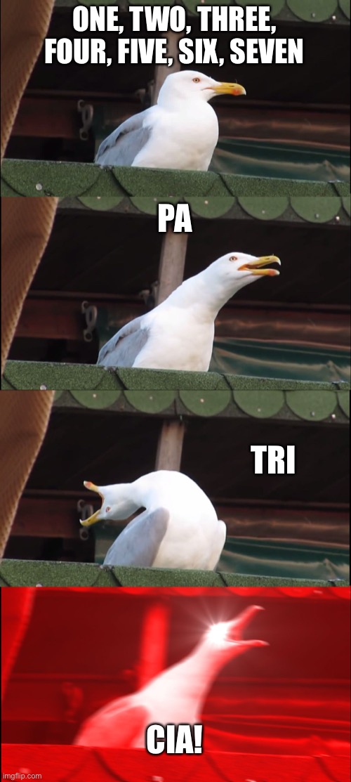 Get it together sweetie we have a show this weekend. | ONE, TWO, THREE, FOUR, FIVE, SIX, SEVEN; PA; TRI; CIA! | image tagged in memes,inhaling seagull | made w/ Imgflip meme maker