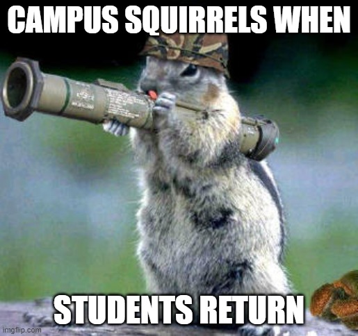 Rodent radicals | CAMPUS SQUIRRELS WHEN; STUDENTS RETURN | image tagged in memes,bazooka squirrel | made w/ Imgflip meme maker