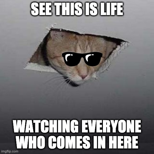 Ceiling Cat | SEE THIS IS LIFE; WATCHING EVERYONE WHO COMES IN HERE | image tagged in memes,ceiling cat | made w/ Imgflip meme maker