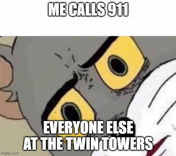 OH NO!! | ME CALLS 911; EVERYONE ELSE AT THE TWIN TOWERS | image tagged in tom cat unsettled close up | made w/ Imgflip meme maker