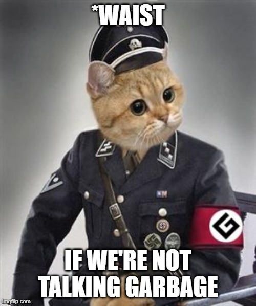 Grammar Nazi Cat | *WAIST; IF WE'RE NOT TALKING GARBAGE | image tagged in grammar nazi cat | made w/ Imgflip meme maker