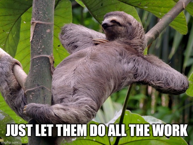Lazy Sloth | JUST LET THEM DO ALL THE WORK | image tagged in lazy sloth | made w/ Imgflip meme maker