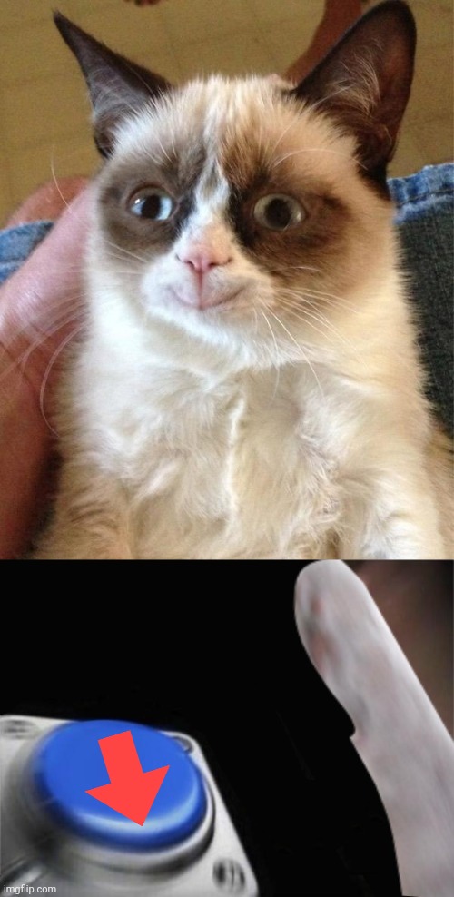 image tagged in memes,grumpy cat happy,grumpy cat blank nut button | made w/ Imgflip meme maker