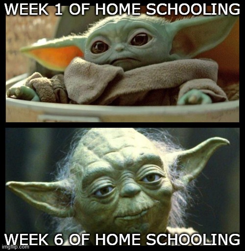 baby yoda | WEEK 1 OF HOME SCHOOLING; WEEK 6 OF HOME SCHOOLING | image tagged in baby yoda | made w/ Imgflip meme maker