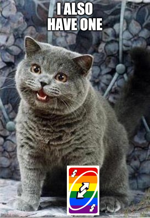 I can has cheezburger cat | I ALSO
HAVE ONE | image tagged in i can has cheezburger cat | made w/ Imgflip meme maker