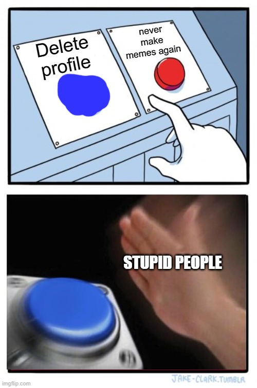 delete profile or never make memes again. comment bellow | never make memes again; Delete profile; STUPID PEOPLE | image tagged in memes,two buttons | made w/ Imgflip meme maker