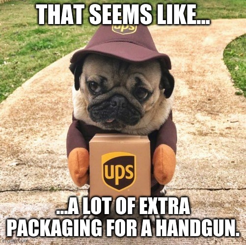 Pug package | THAT SEEMS LIKE... ...A LOT OF EXTRA PACKAGING FOR A HANDGUN. | image tagged in pug package | made w/ Imgflip meme maker