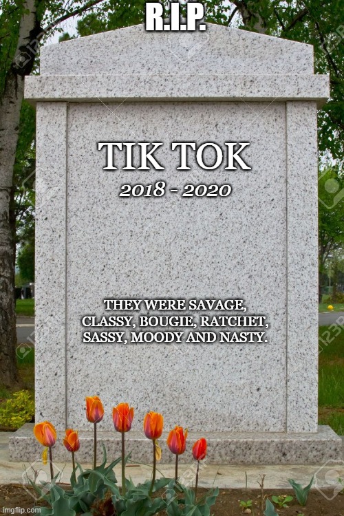 RIP TIK TOK | R.I.P. TIK TOK; 2018 - 2020; THEY WERE SAVAGE, CLASSY, BOUGIE, RATCHET, SASSY, MOODY AND NASTY. | image tagged in blank gravestone | made w/ Imgflip meme maker