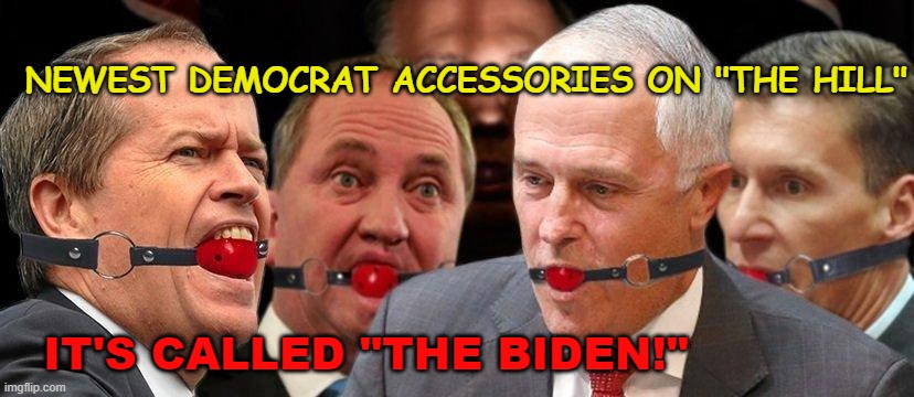 ball gags | NEWEST DEMOCRAT ACCESSORIES ON "THE HILL"; IT'S CALLED "THE BIDEN!" | image tagged in ball gags | made w/ Imgflip meme maker