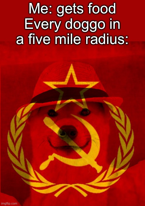 Soviet doggo | Me: gets food; Every doggo in a five mile radius: | image tagged in soviet doggo | made w/ Imgflip meme maker