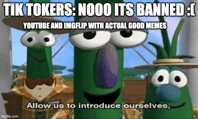 Allow Us to Introduce Ourselves | TIK TOKERS: NOOO ITS BANNED :(; YOUTUBE AND IMGFLIP WITH ACTUAL GOOD MEMES | image tagged in allow us to introduce ourselves | made w/ Imgflip meme maker