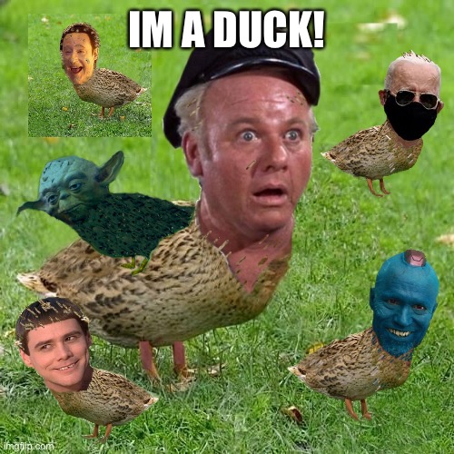 What The Duck | IM A DUCK! | image tagged in skipper duck,over roast,duck soup,dlm | made w/ Imgflip meme maker
