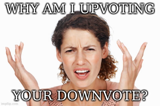 Indignant | WHY AM I UPVOTING YOUR DOWNVOTE? | image tagged in indignant | made w/ Imgflip meme maker