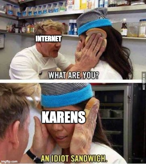 oof | INTERNET; KARENS | image tagged in idiot sandwich | made w/ Imgflip meme maker