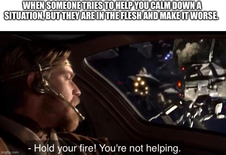 When someone’s in the flesh | WHEN SOMEONE TRIES TO HELP YOU CALM DOWN A SITUATION, BUT THEY ARE IN THE FLESH AND MAKE IT WORSE. | image tagged in hold your fire | made w/ Imgflip meme maker