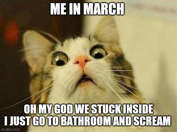 Scared Cat Meme | ME IN MARCH; OH MY GOD WE STUCK INSIDE
I JUST GO TO BATHROOM AND SCREAM | image tagged in memes,scared cat | made w/ Imgflip meme maker