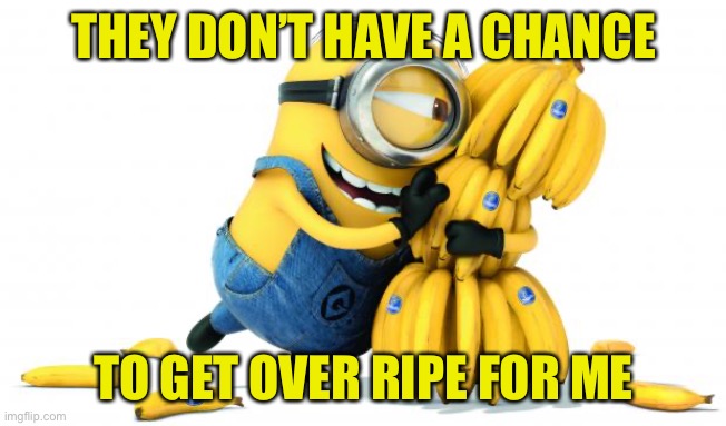 Minion Bananas | THEY DON’T HAVE A CHANCE TO GET OVER RIPE FOR ME | image tagged in minion bananas | made w/ Imgflip meme maker