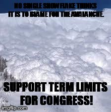 NO SINGLE SNOWFLAKE THINKS IT IS TO BLAME FOR THE AVALANCHE. SUPPORT TERM LIMITS FOR CONGRESS! | made w/ Imgflip meme maker