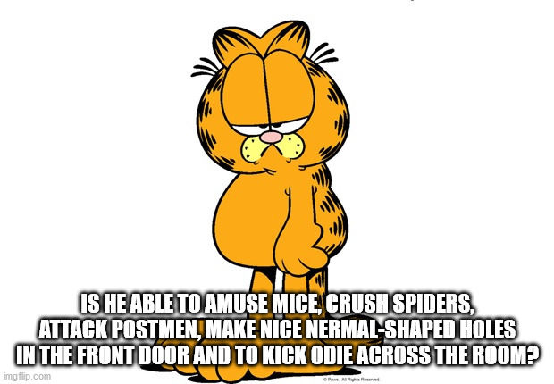Grumpy Garfield | IS HE ABLE TO AMUSE MICE, CRUSH SPIDERS, ATTACK POSTMEN, MAKE NICE NERMAL-SHAPED HOLES IN THE FRONT DOOR AND TO KICK ODIE ACROSS THE ROOM? | image tagged in grumpy garfield | made w/ Imgflip meme maker