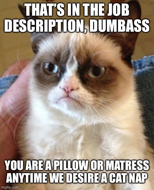 Grumpy Cat Meme | THAT’S IN THE JOB DESCRIPTION, DUMBASS YOU ARE A PILLOW OR MATRESS ANYTIME WE DESIRE A CAT NAP | image tagged in memes,grumpy cat | made w/ Imgflip meme maker