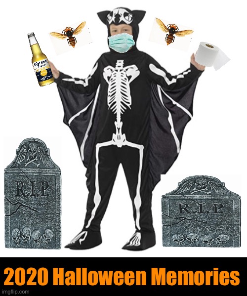 2020 Halloween Costume | 2020 Halloween Memories | image tagged in bat costume,2020,halloween,covid-19,murder hornet,toilet paper | made w/ Imgflip meme maker