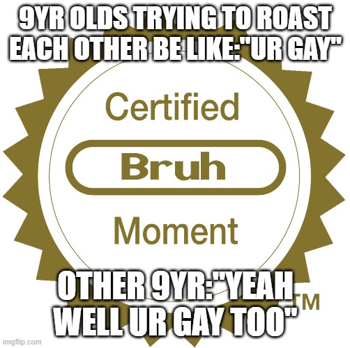 Certified bruh moment |  9YR OLDS TRYING TO ROAST EACH OTHER BE LIKE:"UR GAY"; OTHER 9YR:"YEAH WELL UR GAY TOO" | image tagged in certified bruh moment | made w/ Imgflip meme maker