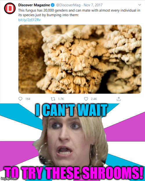 I CAN'T WAIT; TO TRY THESE SHROOMS! | image tagged in transgender,genders,shrooms,gamestop,it's ma'am,memes | made w/ Imgflip meme maker