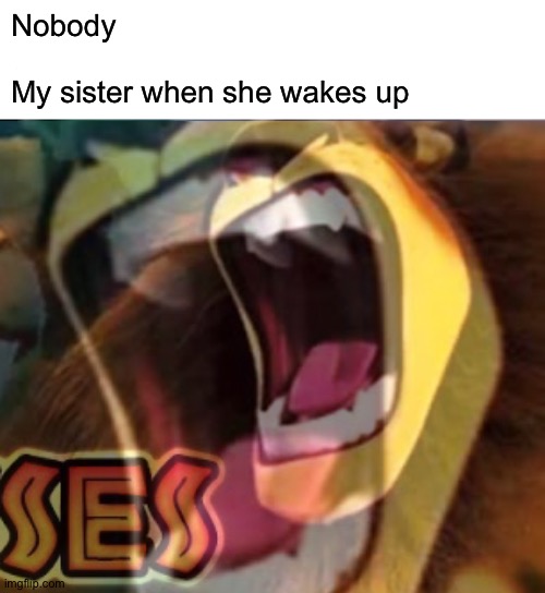 I'd just stop being lazy and just make memes | Nobody
.
My sister when she wakes up | image tagged in memes,funny,alex,madagascar,sister,yawn | made w/ Imgflip meme maker