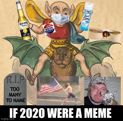 If 2020 Were a Meme | TOO 
MANY 
TO NAME; IF 2020 WERE A MEME | image tagged in flying on a bat,2020,covid-19,murder hornet,conspiracy,dark humor | made w/ Imgflip meme maker